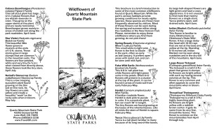 Native Wildflower Guide